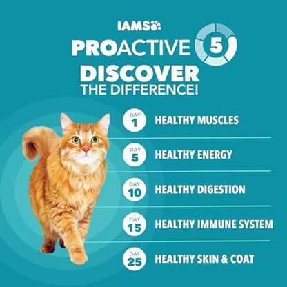 IAMS Proactive Health Hairball Care Adult Dry Cat Food, Chicken Recipe, 3.5 lb Bag