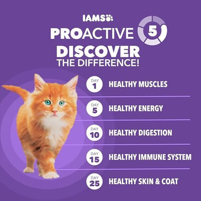 IAMS Proactive Health Healthy Adult Dry Cat Food, Chicken Recipe, 1 lb Bag