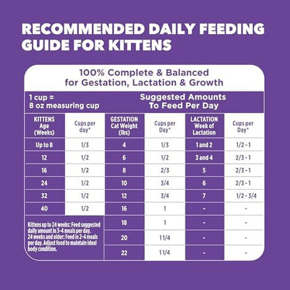 IAMS Proactive Health Healthy Adult Dry Cat Food, Chicken Recipe, 1 lb Bag