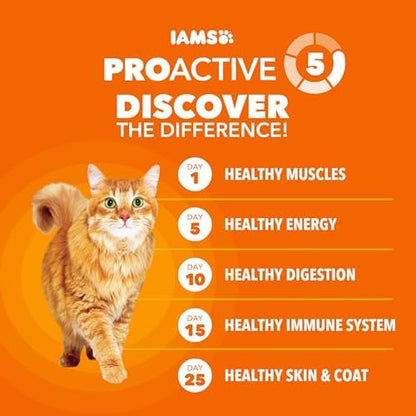 IAMS Proactive Health Hairball Care Adult Dry Cat Food, Chicken Recipe, 3.5 lb Bag