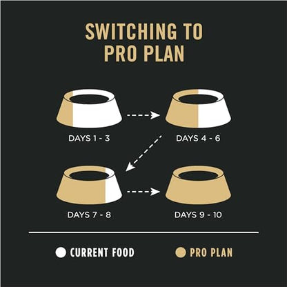 Purina Pro Plan Sensitive Skin and Stomach Adult Dry Dog Food, Salmon and Rice Formula, 30 lb Bag