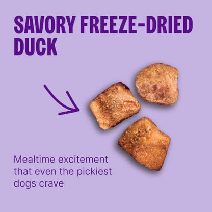 Wellness RawRev Wholesome Grains Dry Cat Food, Chicken & Chicken Liver Recipe, 4 lb Bag