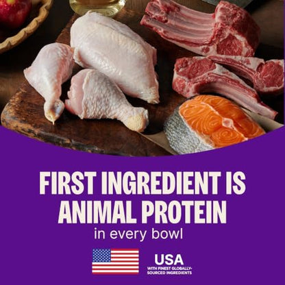 Wellness Complete Health Natural Dry Cat Food, Original Chicken Recipe, 5 lb Bag
