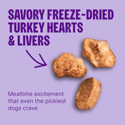 Wellness Complete Health Natural Dry Cat Food, Original Chicken Recipe, 5 lb Bag