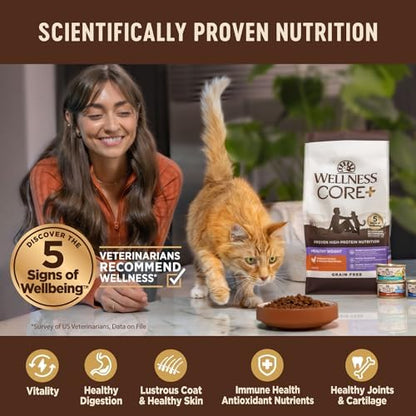 Wellness Complete Health Natural Indoor Dry Cat Food, Chicken Recipe, 5 lb Bag