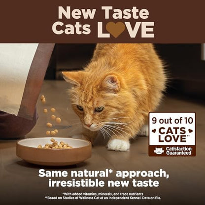 Wellness Complete Health Natural Indoor Dry Cat Food, Chicken Recipe, 5 lb Bag