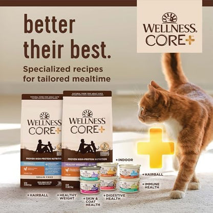Wellness Complete Health Natural Indoor Dry Cat Food, Chicken Recipe, 5 lb Bag