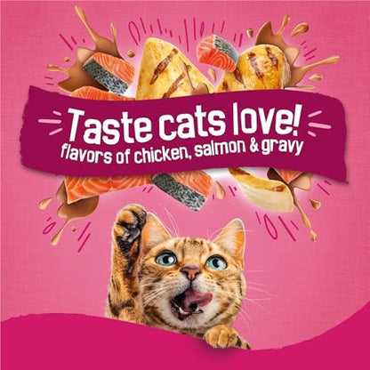 Purina Friskies Gravy Swirlers Adult Dry Cat Food, 3.15 lb Bag
