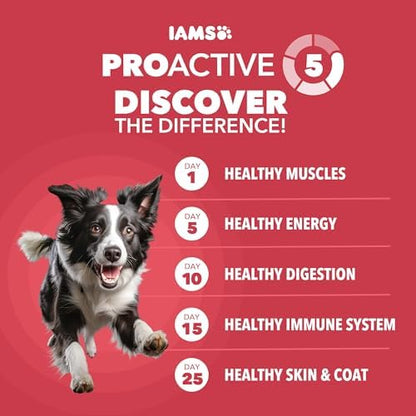 IAMS Proactive Health Adult Dry Dog Food, Chicken & Whole Grain Recipe, 30 lb Bag