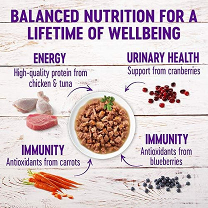 Wellness Healthy Indulgence Natural Wet Cat Food, Chicken Recipe, 3 oz Can