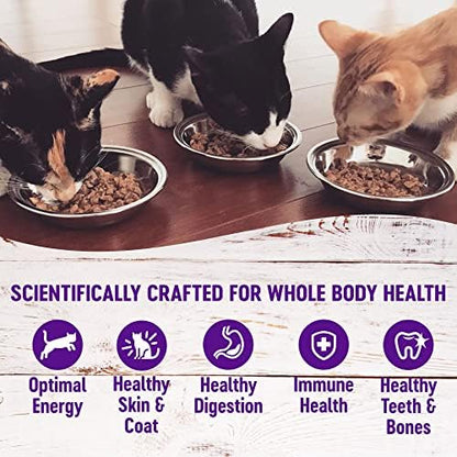 Wellness Healthy Indulgence Natural Wet Cat Food, Chicken Recipe, 3 oz Can