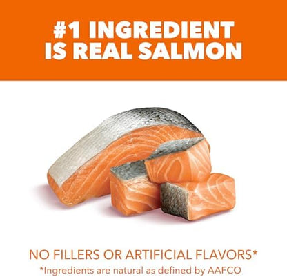IAMS Proactive Health Healthy Adult Dry Cat Food, Salmon Recipe, 3.5 lb Bag