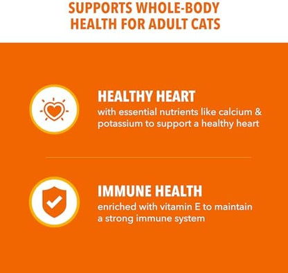 IAMS Proactive Health Healthy Adult Dry Cat Food, Salmon Recipe, 3.5 lb Bag