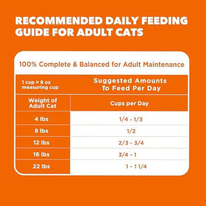IAMS Proactive Health Healthy Adult Dry Cat Food, Salmon Recipe, 3.5 lb Bag