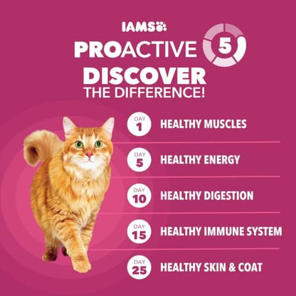 IAMS Proactive Health Urinary Tract Health Adult Dry Cat Food, Chicken Recipe, 3.5 lb Bag