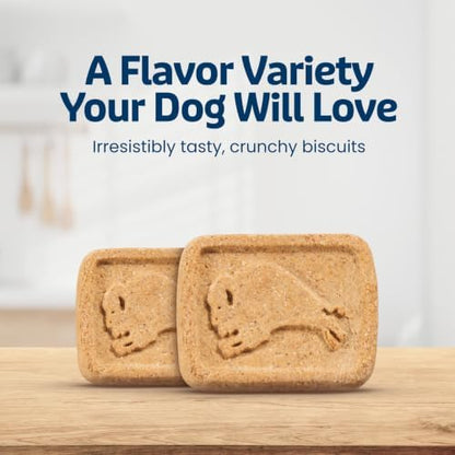 Blue Buffalo Natural Dog Treat Biscuits, Cinnamon & Oatmeal Recipe, 16-oz Bag