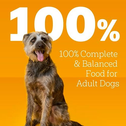Pedigree High Protein Wet Dog Food Variety Pack, Chicken Flavor, 13.2 oz Cans, 12-Pack