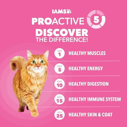 IAMS Proactive Health Sensitive Digestion Adult Dry Dog Food, Turkey Recipe, 12.5 lb Bag