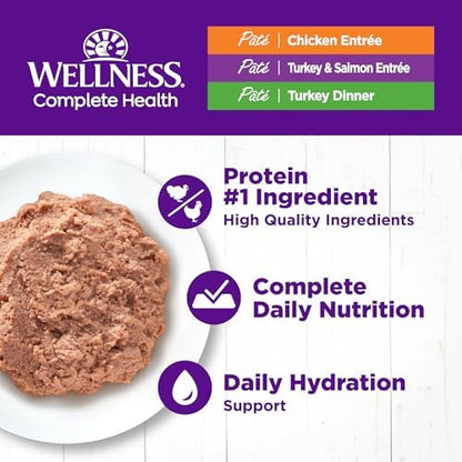 Wellness Complete Health Protein-Rich Grain-Free Dry Dog Food, Turkey & Chicken Recipe, 11 lb Bag