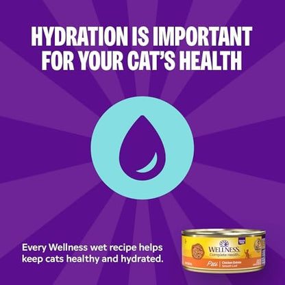 Wellness Complete Health Protein-Rich Grain-Free Dry Dog Food, Turkey & Chicken Recipe, 11 lb Bag