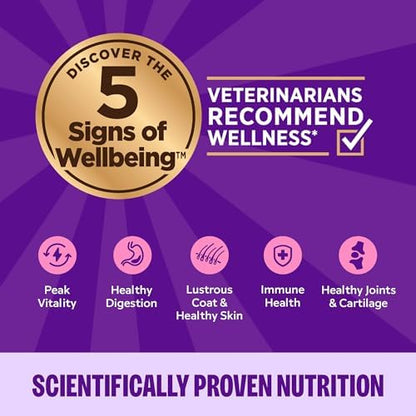 Wellness Complete Health Protein-Rich Grain-Free Dry Dog Food, Turkey & Chicken Recipe, 11 lb Bag
