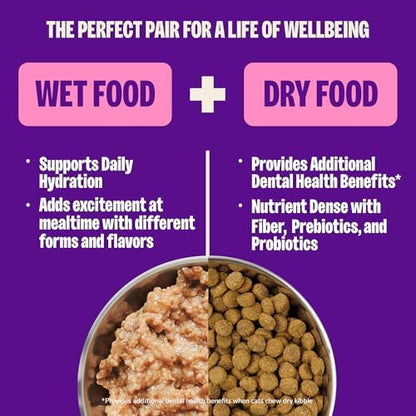 Wellness Complete Health Protein-Rich Grain-Free Dry Dog Food, Turkey & Chicken Recipe, 11 lb Bag