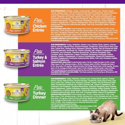 Wellness Complete Health Protein-Rich Grain-Free Dry Dog Food, Turkey & Chicken Recipe, 11 lb Bag