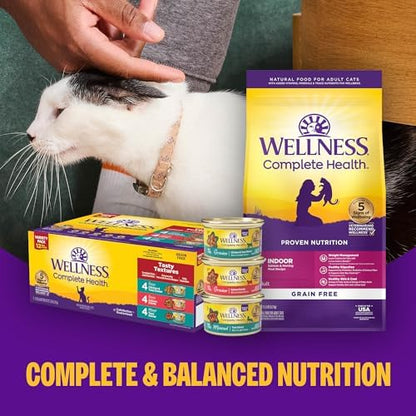 Wellness Complete Health Protein-Rich Grain-Free Dry Dog Food, Turkey & Chicken Recipe, 11 lb Bag