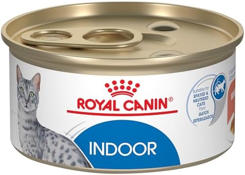 Royal Canin Feline Care Nutrition Digest Sensitive Morsels in Gravy Wet Cat Food, 3 oz Can, 24-Pack