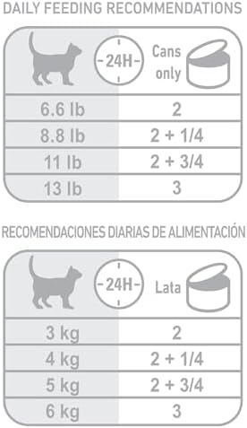 Royal Canin Feline Care Nutrition Digest Sensitive Morsels in Gravy Wet Cat Food, 3 oz Can, 24-Pack