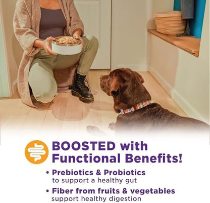 Wellness Natural Pet Food Digestive Health Dry Dog Food, Chicken Recipe, 1 lb Trial Bag