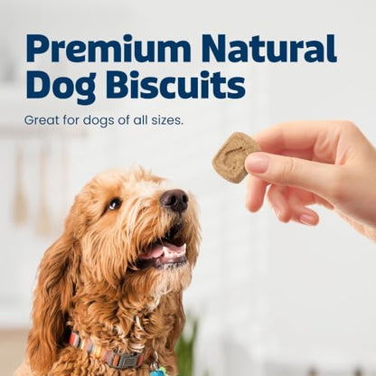 Blue Buffalo Natural Crunchy Dog Treat Biscuits, Bacon, Egg & Cheese Recipe, 16-oz Bag