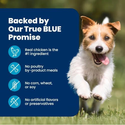 Blue Buffalo Life Protection Formula Natural Adult Dry Dog Food, Lamb & Brown Rice, 5-lb Bag