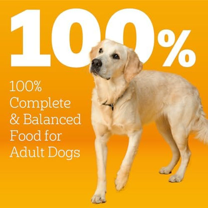 Pedigree Healthy Nutrition Adult Dry Dog Food, Roasted Chicken & Vegetable Flavor, 14 lb Bag