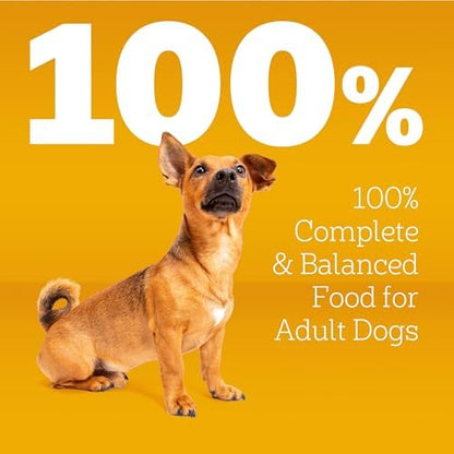 Pedigree Tender Bites Complete Nutrition Adult Dry Dog Food, Chicken Flavor, 14 lb Bag