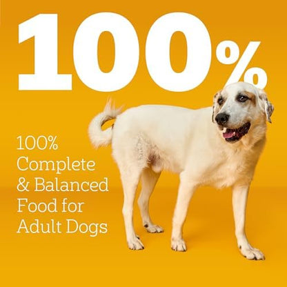 Pedigree Large Breed Adult Dry Dog Food, Roasted Chicken & Vegetable, 16 lb