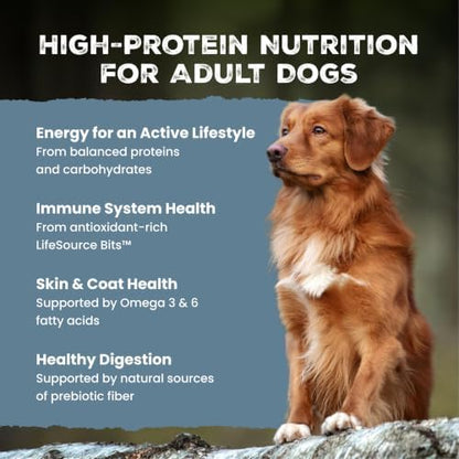 Blue Buffalo Wilderness Mountain Recipe High Protein Grain-Free Adult Dry Dog Food, Red Meat, 22-lb Bag