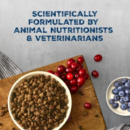 Blue Buffalo Wilderness Mountain Recipe High Protein Grain-Free Adult Dry Dog Food, Red Meat, 22-lb Bag