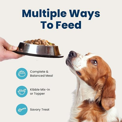 Blue Buffalo Grain-Free Wet Dog Food Variety Pack, Chicken Recipe, 12.5-oz Cans (Pack of 12)