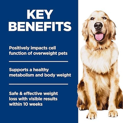 Hill's Science Diet Adult Perfect Weight Dry Dog Food, Chicken & Brown Rice, 25 lb. Bag