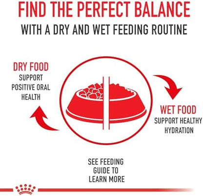 Royal Canin Size Health Nutrition Small Adult Dry Dog Food, 4 lb. Bag
