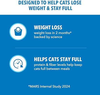 IAMS Proactive Health Healthy Adult Dry Cat Food, Chicken Recipe, 1 lb Bag