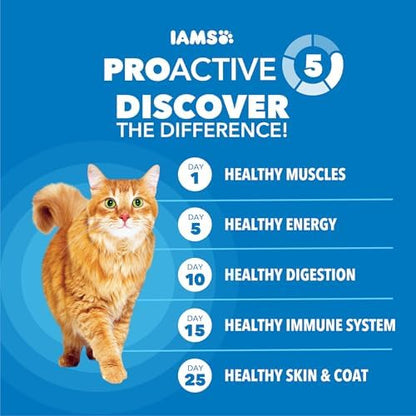 IAMS Proactive Health Healthy Adult Dry Cat Food, Chicken Recipe, 1 lb Bag