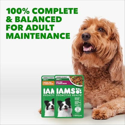 IAMS Proactive Health Adult Dry Dog Food Variety, Chicken Recipe, 7 lb Bag